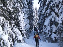 Cliquer pour agrandir l'image (1024x768 pixels; 252 KB)