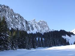 Cliquer pour agrandir l'image (1024x768 pixels; 155 KB)