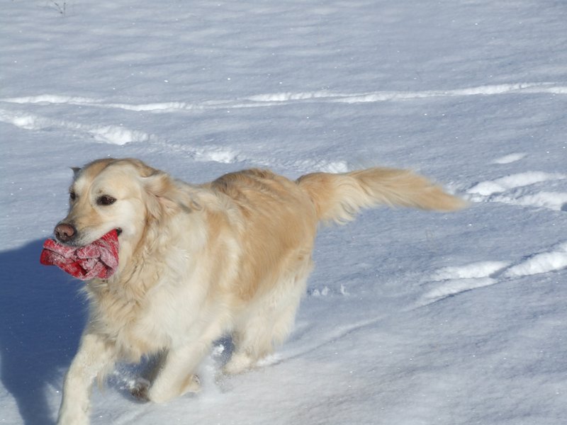 Cliquer pour voir l'image suivante