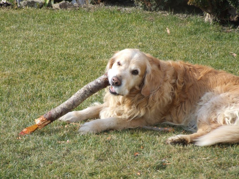 Cliquer pour voir l'image suivante