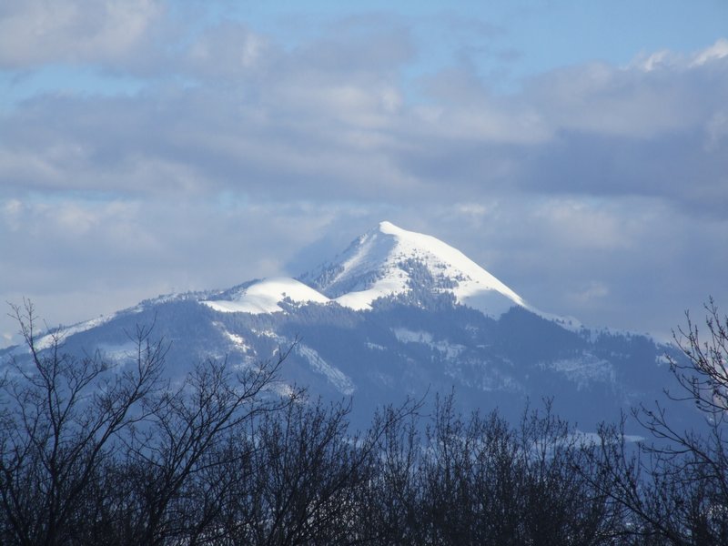 Cliquer pour voir l'image suivante