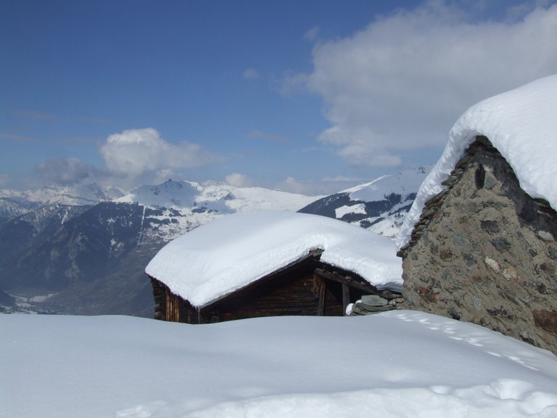 Cliquer pour voir l'image suivante