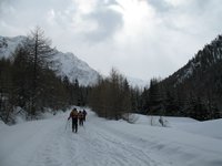 Cliquer pour agrandir l'image (507x380 pixels; 32 KB)