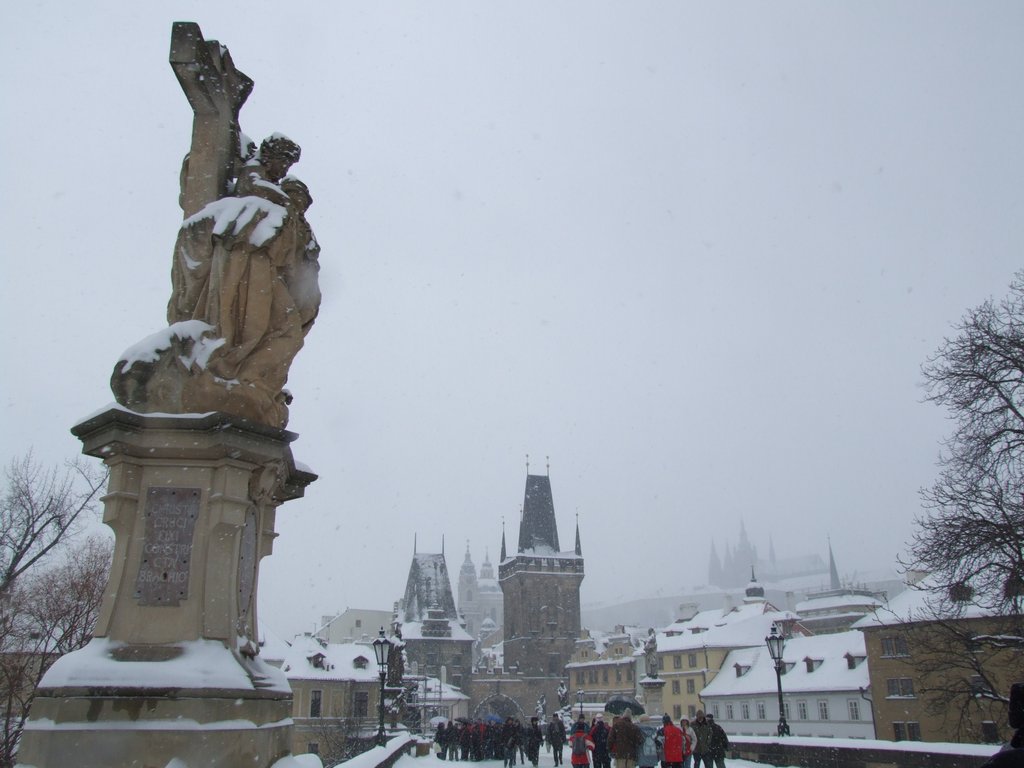 Cliquer pour voir l'image suivante