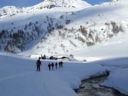 Cliquer pour agrandir l'image (800x600 pixels; 83 KB)