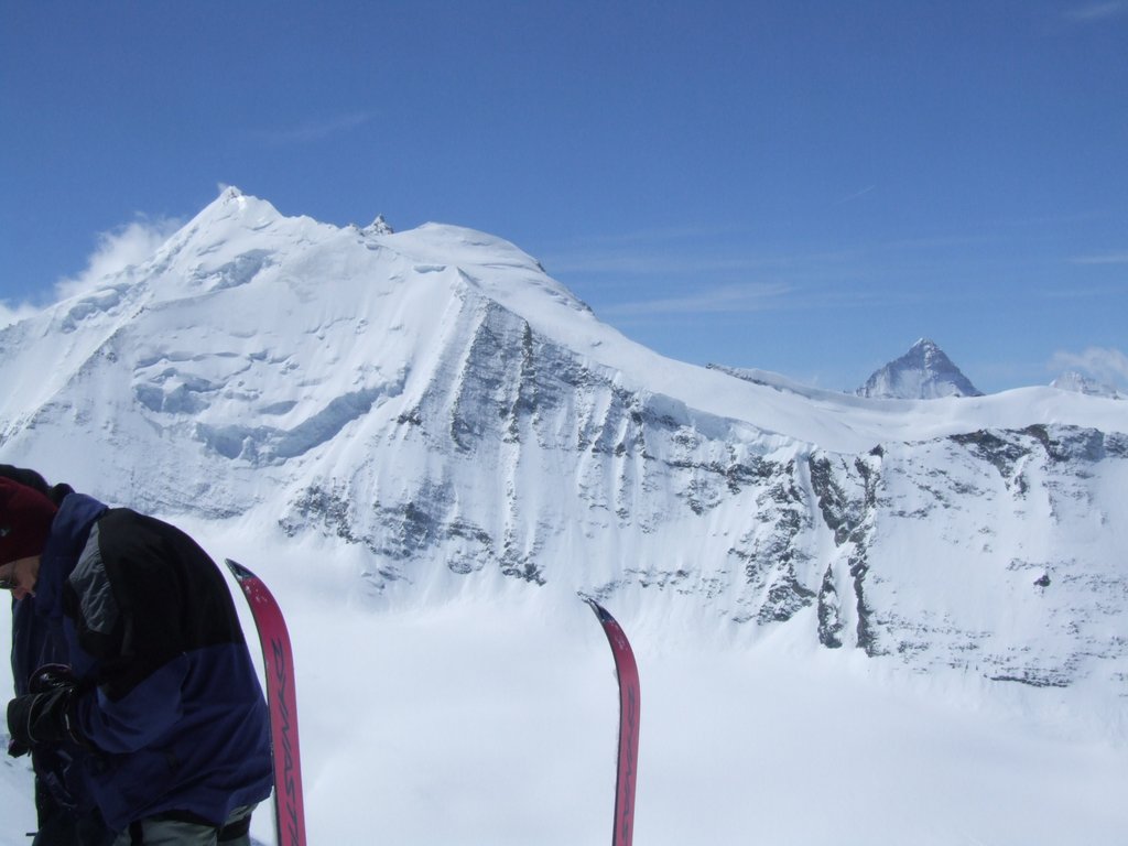 Cliquer pour voir l'image suivante