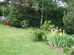 Cliquer pour agrandir l'image (2592x1944 pixels; 14762 KB)