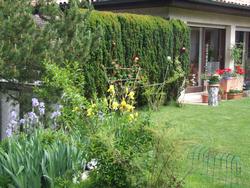 Cliquer pour agrandir l'image (2592x1944 pixels; 14762 KB)