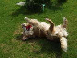 Cliquer pour agrandir l'image (2592x1944 pixels; 14762 KB)