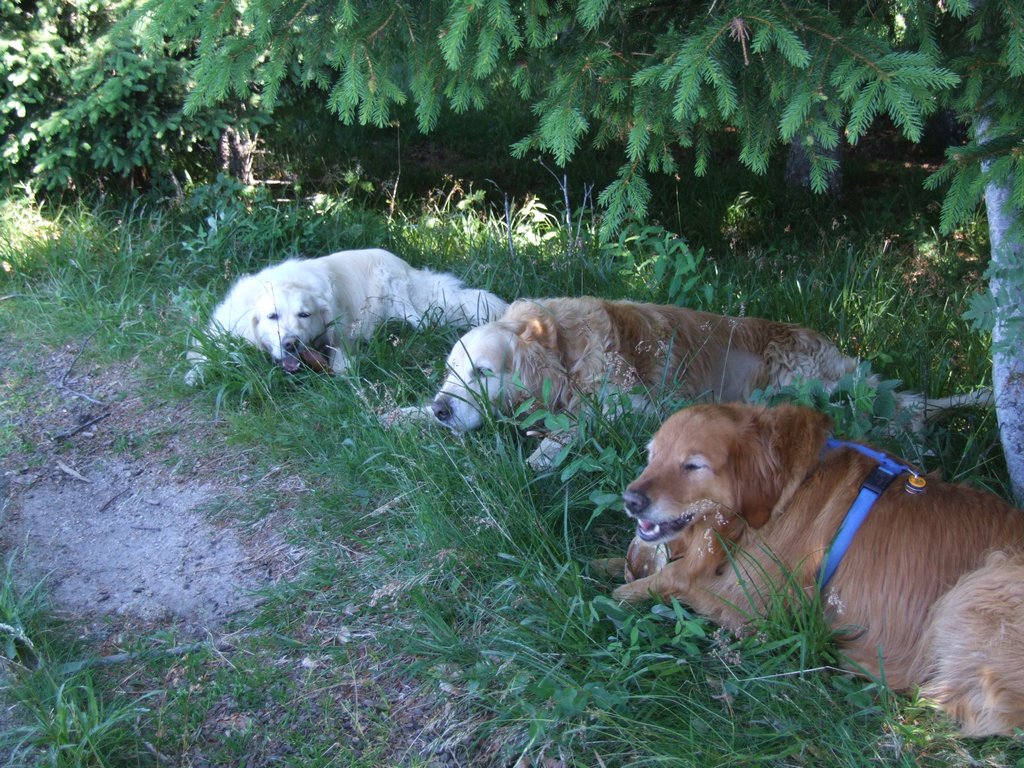 Cliquer pour voir l'image suivante