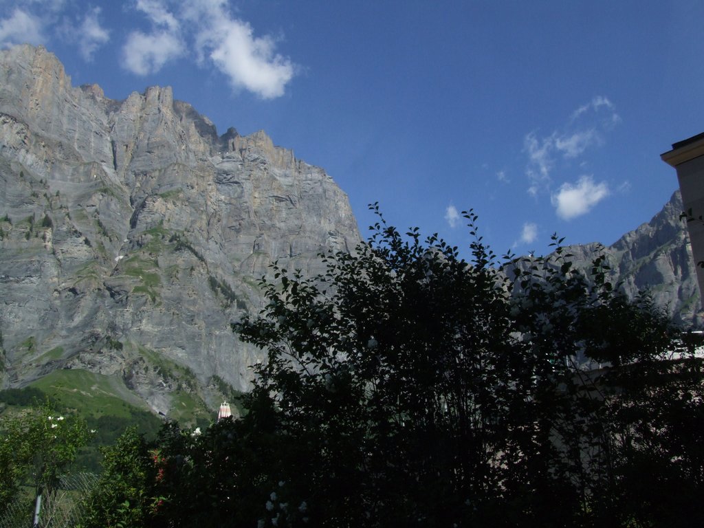 Cliquer pour voir l'image suivante