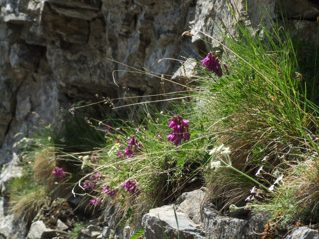 Cliquer pour voir l'image suivante