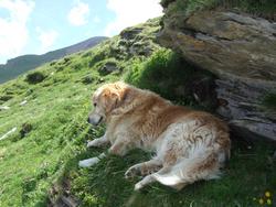 Cliquer pour agrandir l'image (1024x768 pixels; 210 KB)