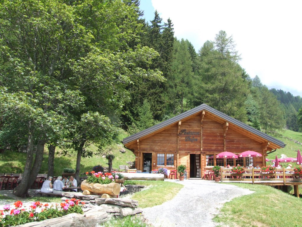 Cliquer pour voir l'image suivante