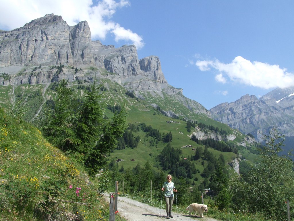 Cliquer pour voir l'image suivante