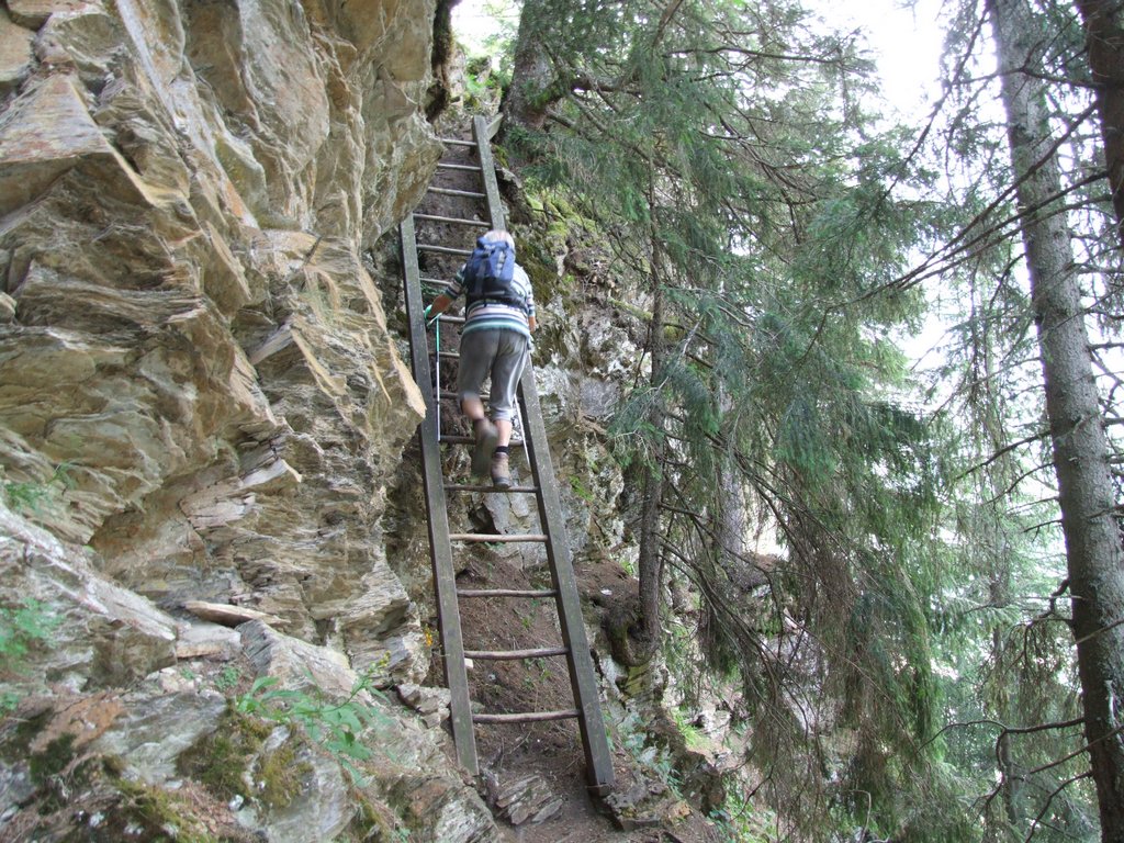 Cliquer pour voir l'image suivante