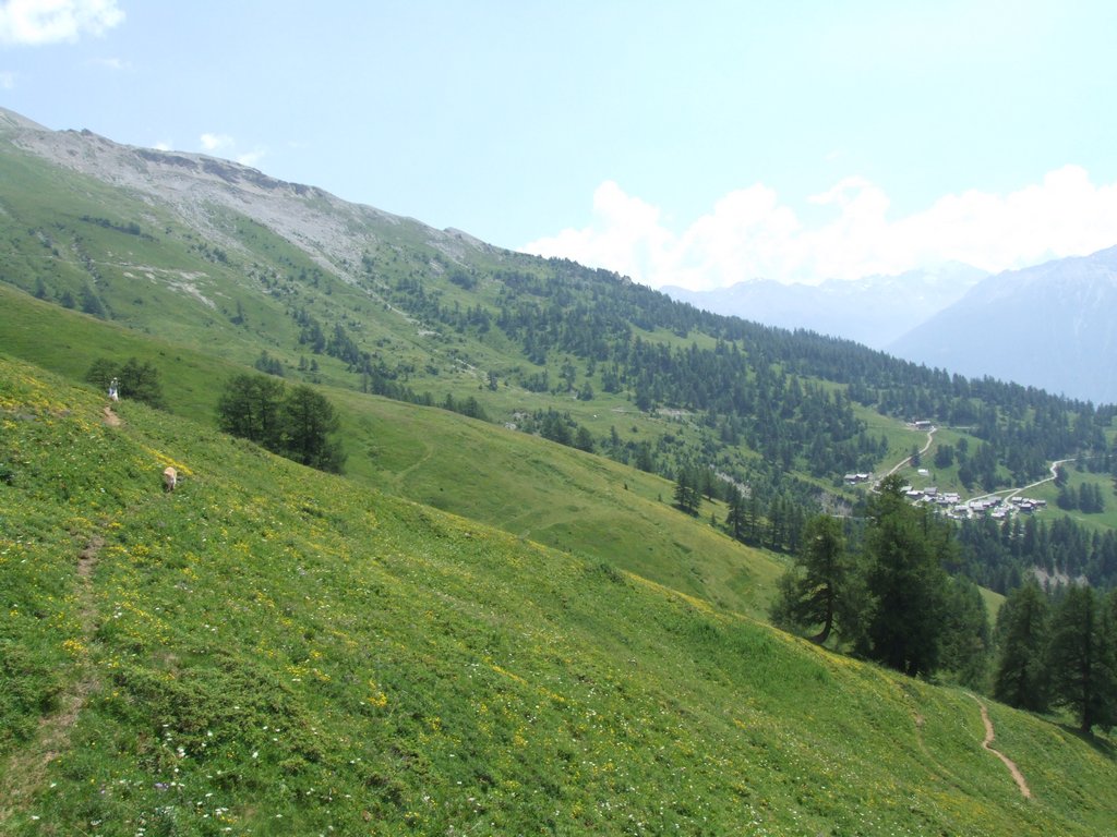 Cliquer pour voir l'image suivante