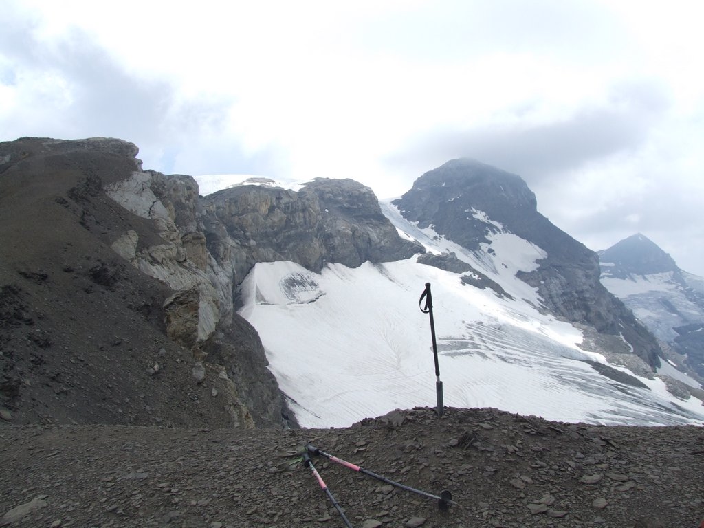 Cliquer pour voir l'image suivante