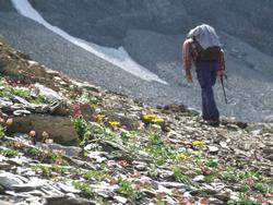 Cliquer pour agrandir l'image (1024x768 pixels; 190 KB)