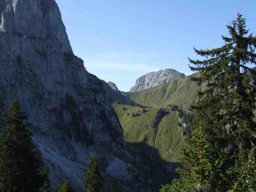 Cliquer pour voir l'image suivante