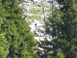 Cliquer pour agrandir l'image (1024x768 pixels; 91 KB)