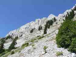 Cliquer pour agrandir l'image (1024x768 pixels; 71 KB)