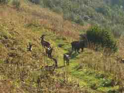 Cliquer pour agrandir l'image (1024x768 pixels; 90 KB)