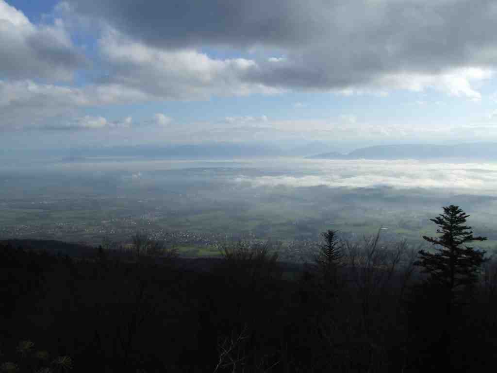 Cliquer pour voir l'image suivante