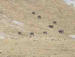 Cliquer pour agrandir l'image (1024x768 pixels; 52 KB)