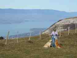 Cliquer pour agrandir l'image (1024x768 pixels; 40 KB)