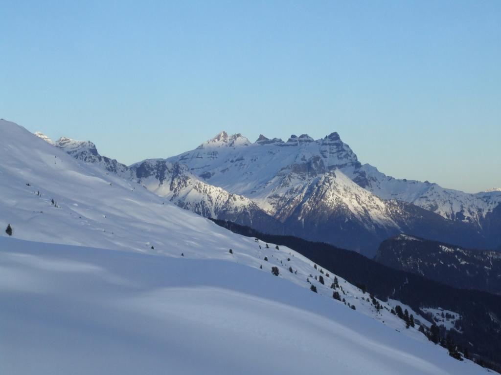 Cliquer pour voir l'image suivante