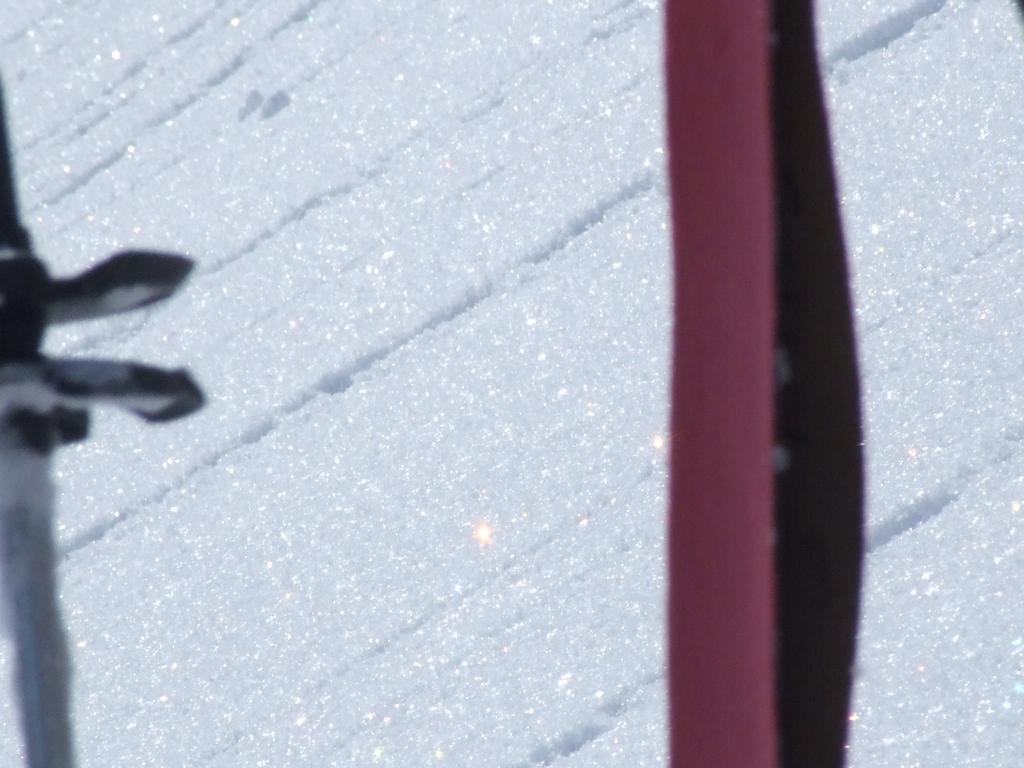 Click to see next picture