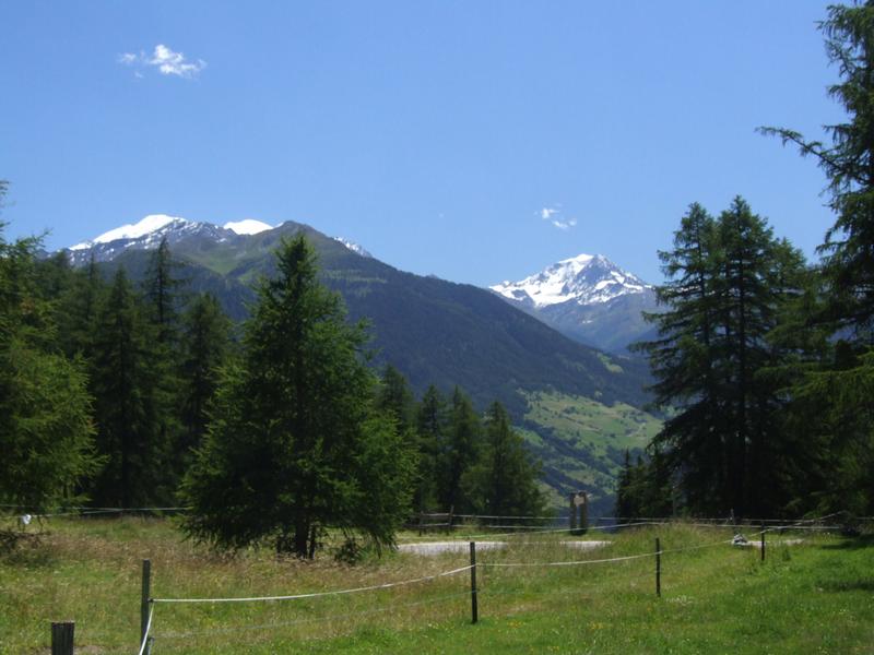 Cliquer pour voir l'image suivante