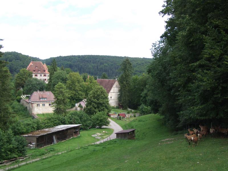 Cliquer pour voir l'image suivante