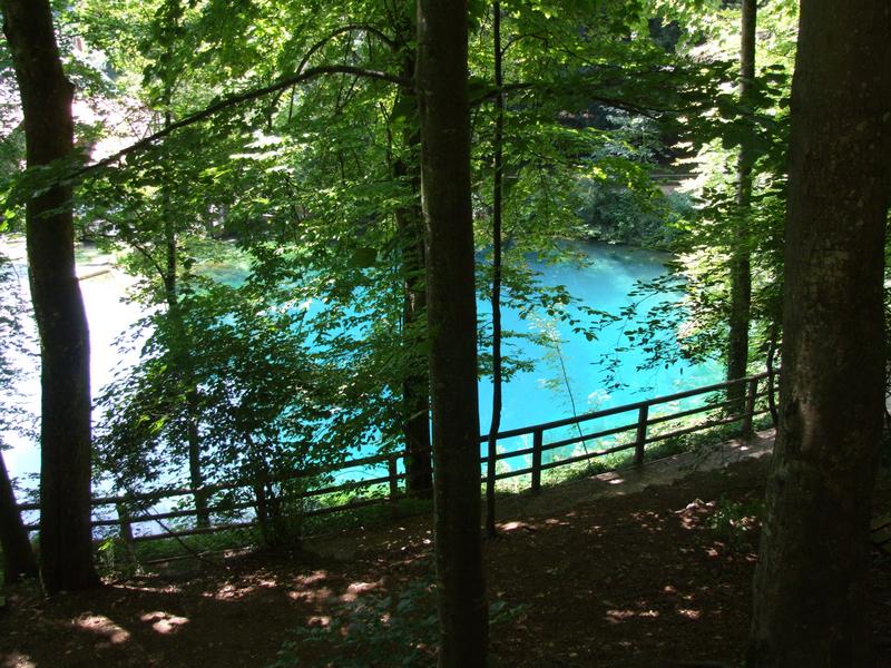 Cliquer pour voir l'image suivante