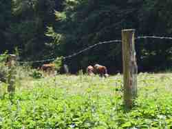 Clic pour agrandir l'îmage (1024x768 pixels; 147 KB)