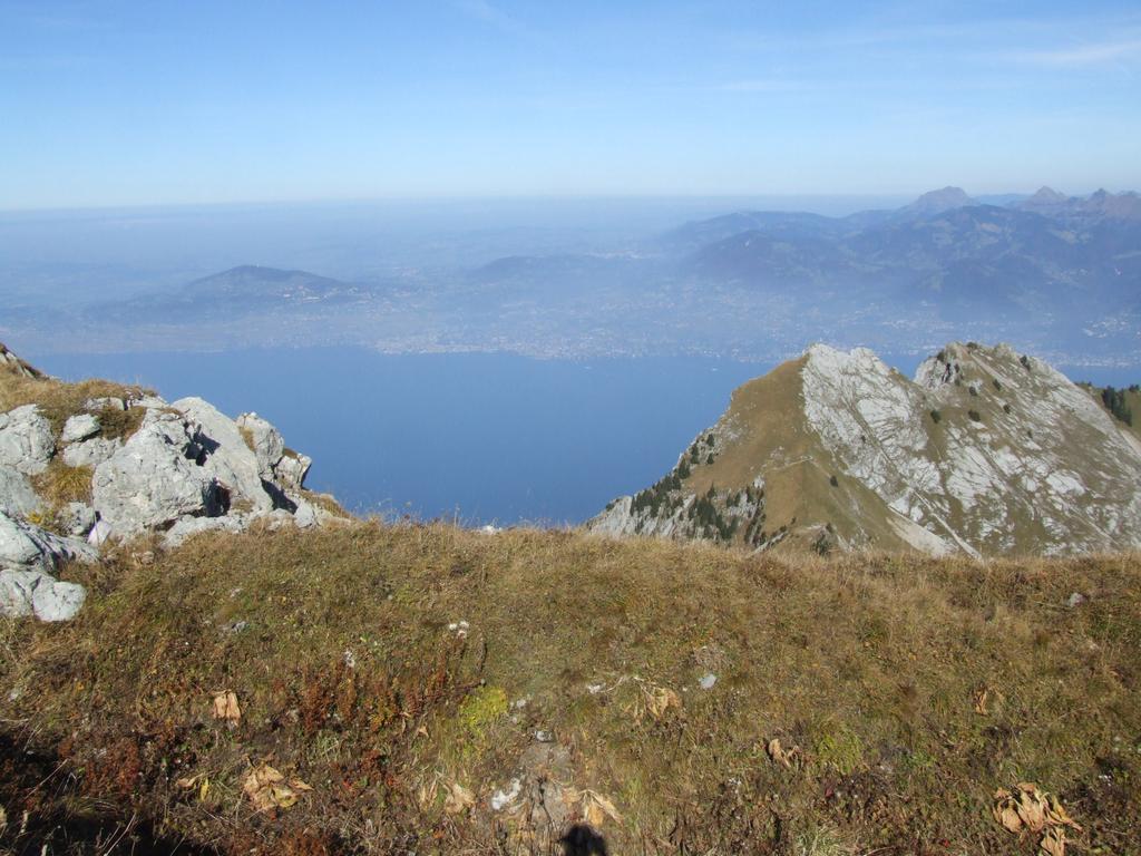 Clic pour voir l'image suivante