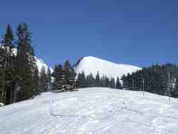 Clic pour agrandir l'mage (1024x768 pixels; 100 KB)