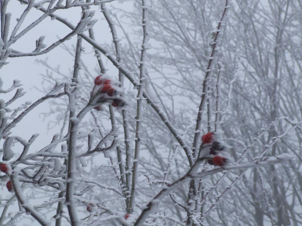 Clic pour voir l'image suivante