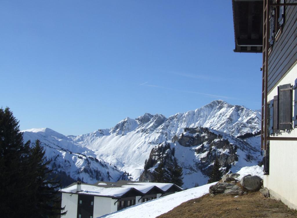 Clic pour voir l'image suivante