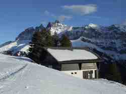 Clic pour agrandir l'mage (1024x768 pixels; 96 KB)