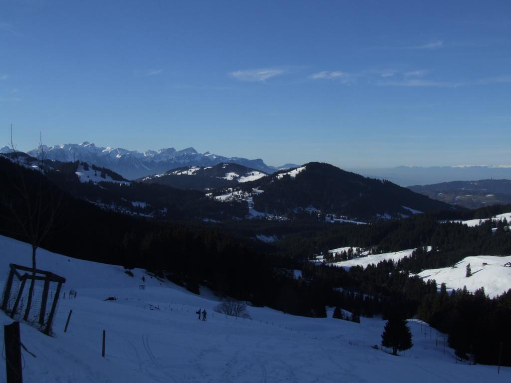 Clic pour voir l'image suivante