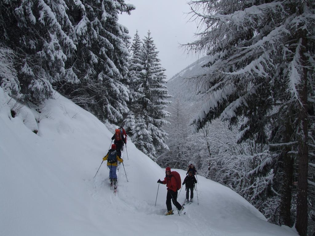 Clic pour voir l'image suivante