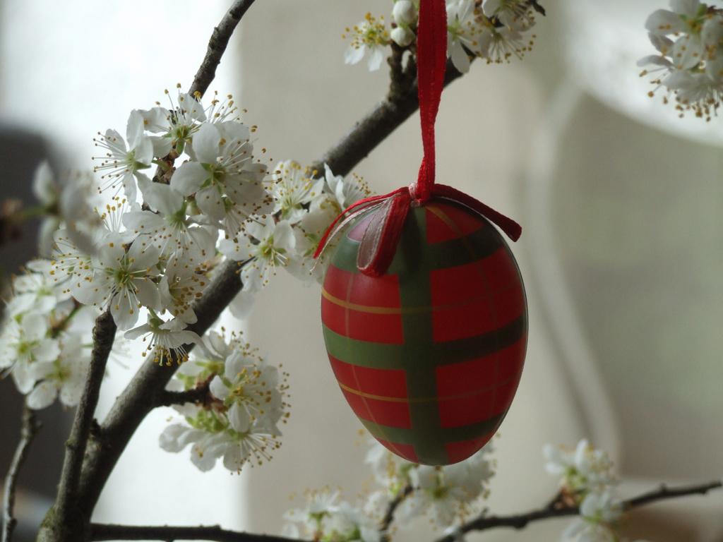 Clic pour voir l'image suivante