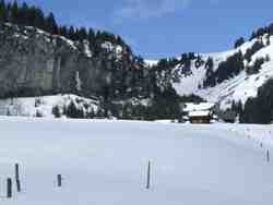 Clic pour agrandir l'�mage (800x600 pixels; 57 KB)