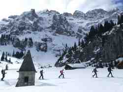 Clic pour agrandir l'�mage (800x600 pixels; 73 KB)