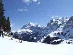 Clic pour agrandir l'�mage (800x600 pixels; 56 KB)