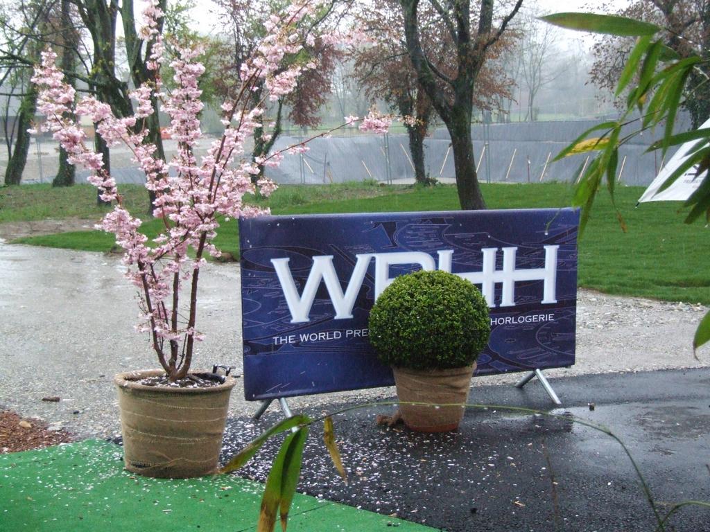 Clic pour voir l'image suivante