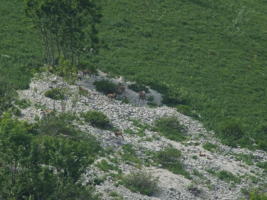 Pour l'image suivante