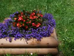 Clic pour agrandir l'�mage (2816x2112 pixels; 17424 KB)